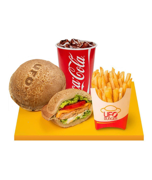 دستگاه برگر سفینه ای